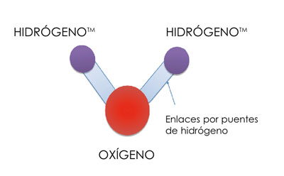 Figura 1- Molécula de Agua