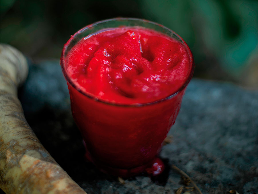 Granizado de frambuesa y rábano picante