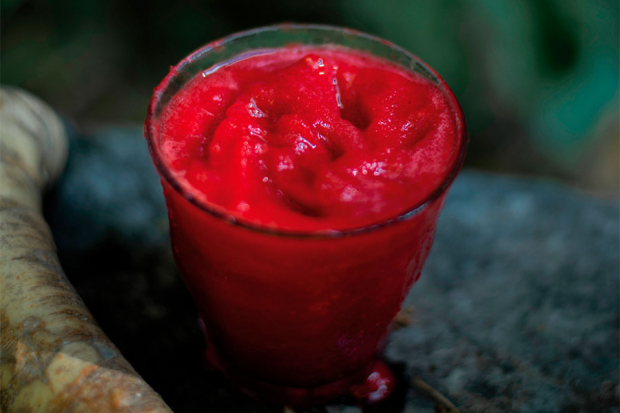 Imagen de Granizado de frambuesa y rábano picante