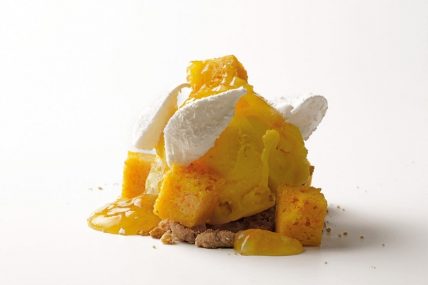 Imagen de Postre helado de sorbete de calabaza-naranja y salsa de cítricos